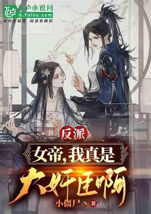 狗狗物品记忆卡